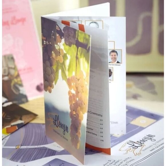 Hunt A Killer: Dead on the Vine, Winery Murder Mystery Game - Picture 4 of 7